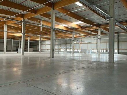 Ca. 3.900 qm Neubau Lager-/ Logisitk-/ Produktionsfläche | Rampe & ebenerdig | Ca. 7,50 m UKB