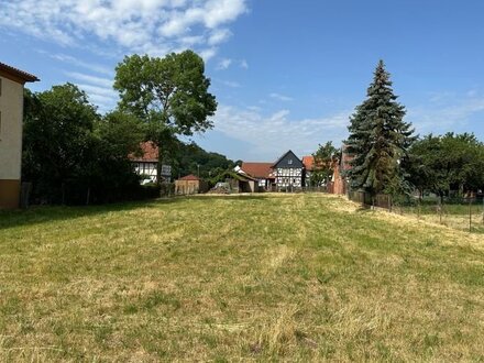 Grundstück vor den Toren Eisenachs - in idyllischer Werralandschaft