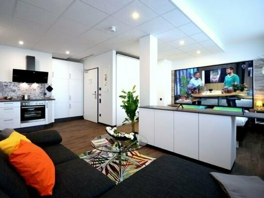 1-Zimmer-Penthouse-Apartment, komfortabel & bequem ausgestattet, Innenstadt Offenbach