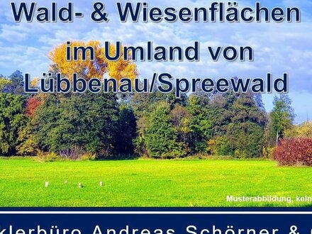 Verkauf verschiedener Wald-, Wiesen- und Brachflächen in Lübbenau und im Inneren Oberspreewald