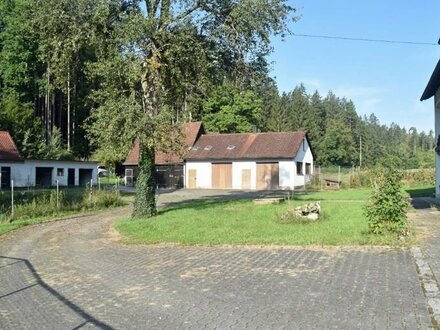 Natur pur: Wohnhaus +Nebengebäude+ ca. 43.000m² Wald und Wiesen