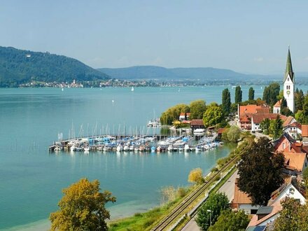 Top moderne Doppelhaushälfte mit Berg-/ und Seesicht in Sipplingen