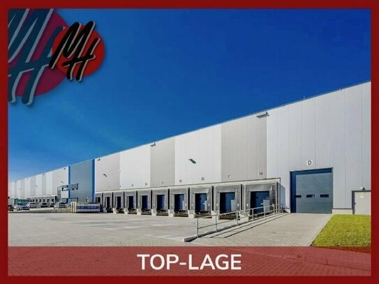 TOP-LAGE - EBEN - Moderne Lager-/Logistikflächen (10.000 m²)