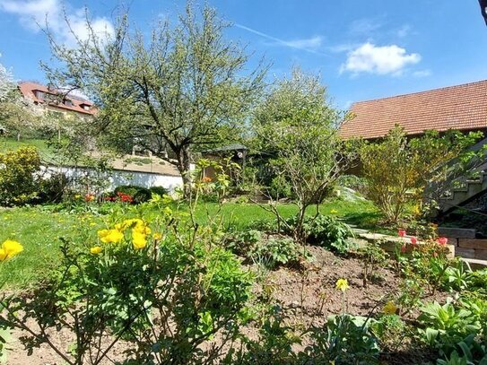 Helle Wohnung mit 5 ½ -Zimmer auf 2 Stockwerken mit großer Dach-Terrasse auf 138 m² im Herzen von Tännesberg – Großensc…