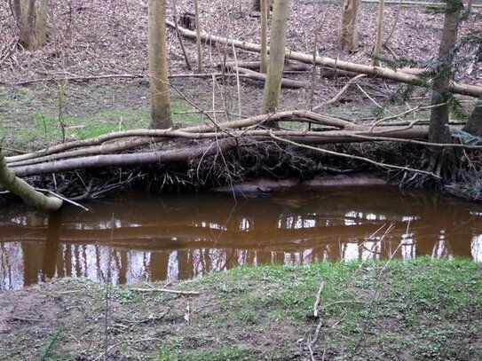 "erweitern" Sie Ihrer ETW mit einer eigenen sep. 1.100 qm "PARZELLE" - Wald-/Garten-Grdst. am Wasser