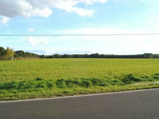 Baugrundstück nahe der Kolpiner Seenkette!