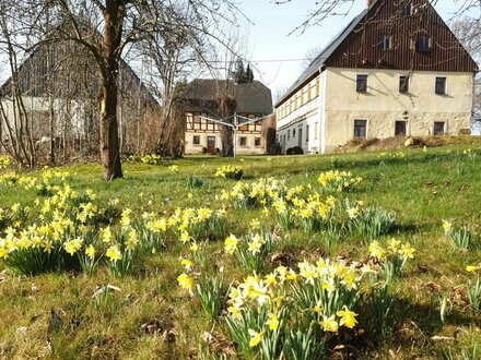 Ländliche Idylle – Dreiseitenhof in Oederan, OT Kirchbach bei Freiberg