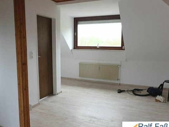 Trier-Olewig (nahe Uni), neu renoviertes 1 Raum-Appartement zu vermieten.