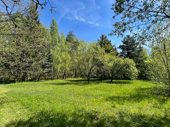 Große Gartenidylle - Nähe Blaue Adria (ca. 6.000m²)