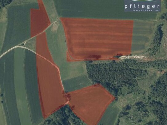 4,5 ha landw. Fläche/Acker in Uttlau mit sehr guter Bodenqualität