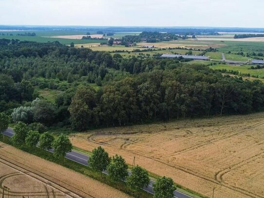 2,4 ha Waldfläche an der Mecklenburgischen Seenplatte