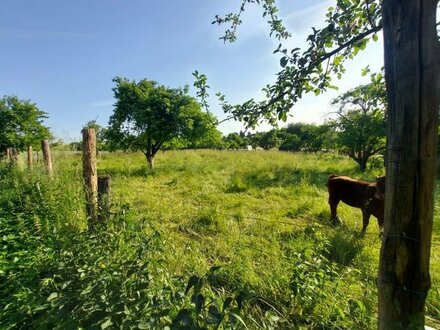 Top Baugrundstück in Wachenbuchen Feldrandlage mit unverbaubaren wunderschönen Naturausblick