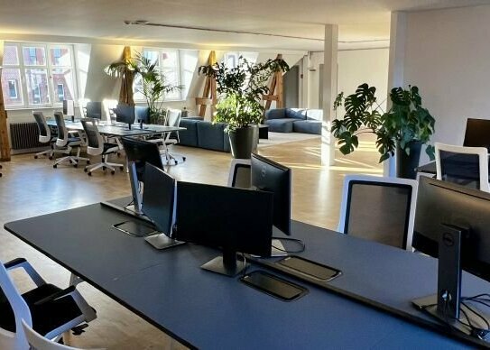 Newly renovated office in Mitte / Prenzlauer Berg (Backfabrik)