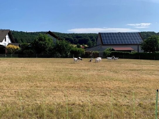 Bauen und Leben am Ortsrand im Schwälmer Land!