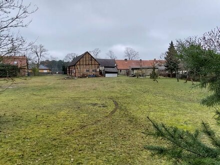 Einfamilienhaus mit sehr schönem Grundstück direkt am Wald.