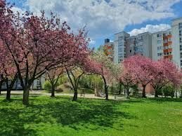 Für sozial engagierte Studenten und Auszubildende: Zimmer "Projekt: Wohnen für Hilfe Regensburg"