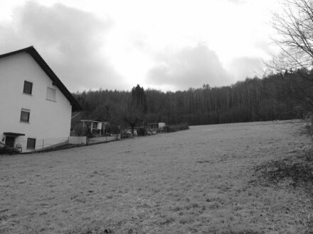 Idyllisch gelegenes Grundstück: Leichte Hanglage und absolute Ruhe in Schlierbach!