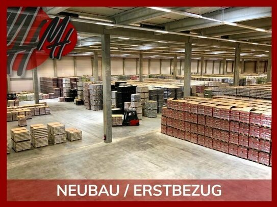 NEUBAU / ERSTBEZUG - RAMPE + EBEN - Lagerflächen (3.500 m²) & Büroflächen (500 m²) zu vermieten