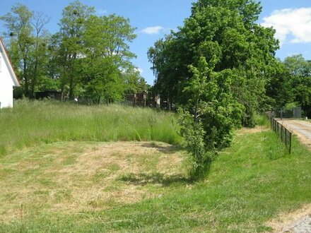 Baugrundstück in Alt Rehse am Tollensesee (Nähe Neubrandenburg) provisionsfrei