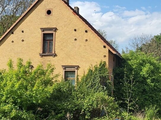 Stark sanierungsbedürftiges Einfamilienhaus mit Grundstück in Deuben (Handwerkerobjekt)