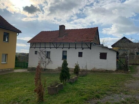 Schöne 3-Raum Wohnung mit großem Garten und Nebengebäude