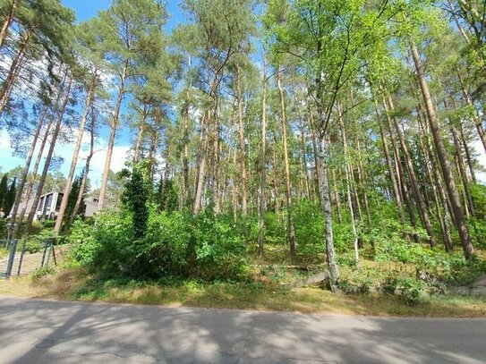 Wald- und Hanggrundstück in bevorzugter Lage für knapp 1000 m² Wohn-/Nutzfläche