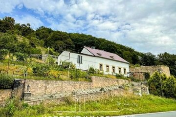 Zum Ausbau und Modernisieren: Verwunschenes Winzerhaus mit großem Garten & Elbblick. (Festpreis)