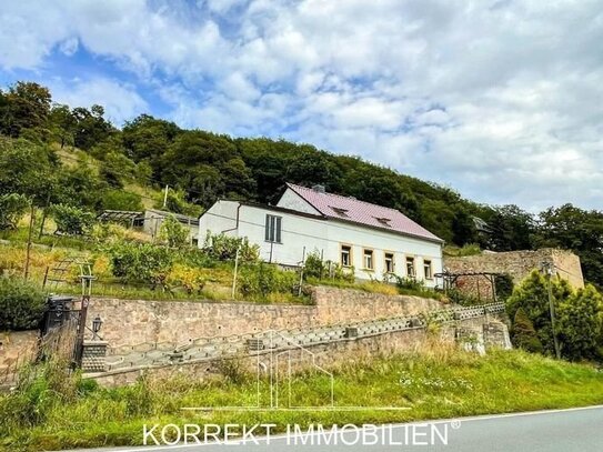 Zum Ausbau und Modernisieren: Verwunschenes Winzerhaus mit großem Garten & Elbblick. (Festpreis)