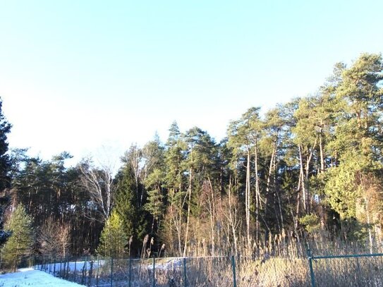 Ruheliebenden aufgepasst !!! Teilrenoviertes EFH mit Schwedenofen, neuem Dach u.v.m. in ruhiger Lage zu verkaufen !!!