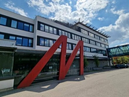 Büro, Verkaufs- und Lagerflächen nahe BMW!