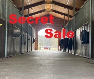 Secret Sale Reitgestüt nördl. von Berlin Top Ausstattung - 26 ha Koppeln