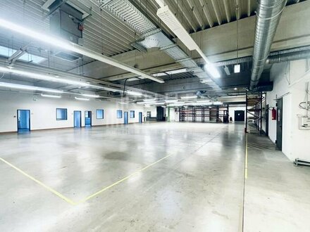 Hallenfläche/ Showroom | 800 m² | RUHR REAL