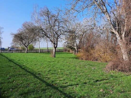 Ein Stück Himmel auf Erden: Entdecken Sie dieses preiswerte Baugrundstück mit Blick auf die malerische Landschaft!