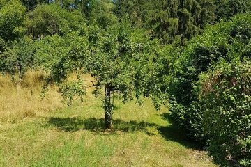 Kleingärtnerisch nutzbare Fläche im Gartenhausgebiet "Im Tal" in Kernen - Stetten Zone 1. Gartenhaus und Geschirrhütte nach BP genehmigt.