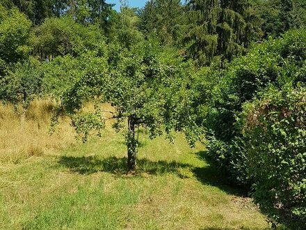 Kleingärtnerisch nutzbare Fläche im Gartenhausgebiet "Im Tal" in Kernen - Stetten Zone 1. Gartenhaus und Geschirrhütte…