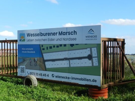 Wesselburener Marsch