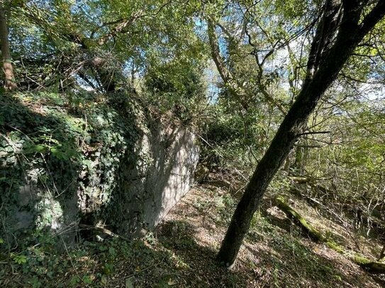 Weinberg/Weingarten: Grundstück bei der Kreuzbergkapelle in Merzig zu verkaufen