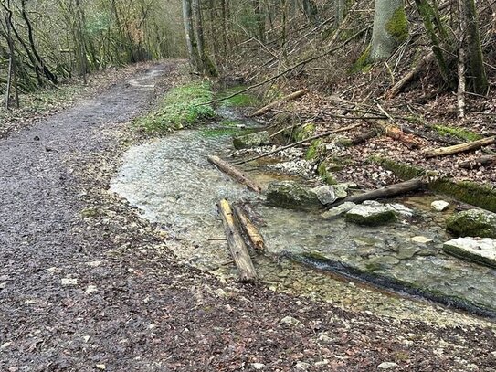 Hobby Wald - Brennholzlieferant - Ausgleichsfläche