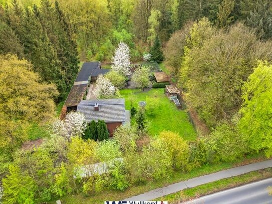 Uriges Nest am Beimoorwald in Ahrensburg!