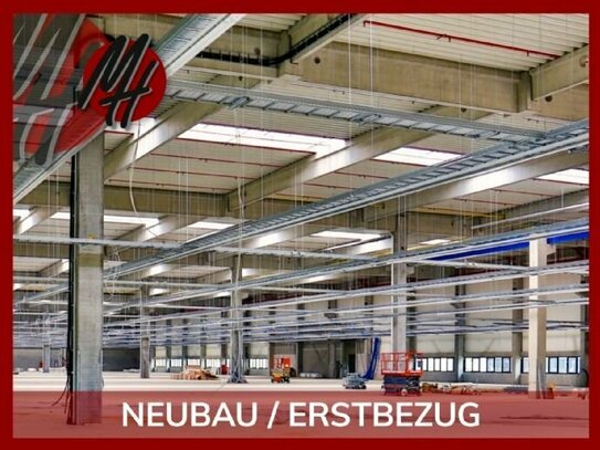 NEUBAU / ERSTBEZUG - RAMPE + EBEN - Lagerflächen (1.500 m²) & Büroflächen (250 m²) zu vermieten