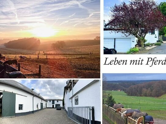 Pferdebauernhof + ELW mit Reitplatz, 13 Boxen + viel Pachtland A3 Bad Honnef 9 km