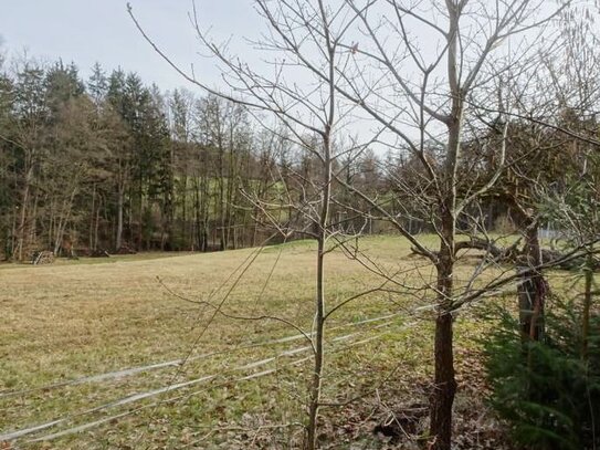 Großes, letztes Grundstück in Lauf in idyllischer Lage an Pferdewiese und Wald