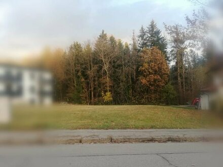 Großzügiges Baugrundstück in Tiefenbach (Kirchberg vorm Wald) zu verkaufen