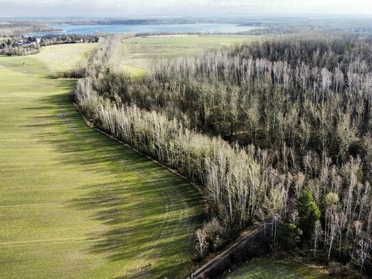 1,0 ha Waldflächen