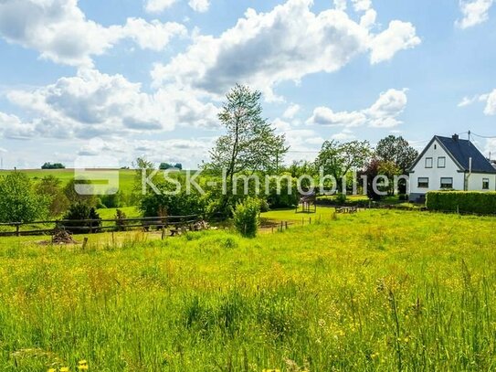 Ruhig gelegenes Baugrundstück mit zusätzlich 1.113m² Waldfläche in Locksiefen!