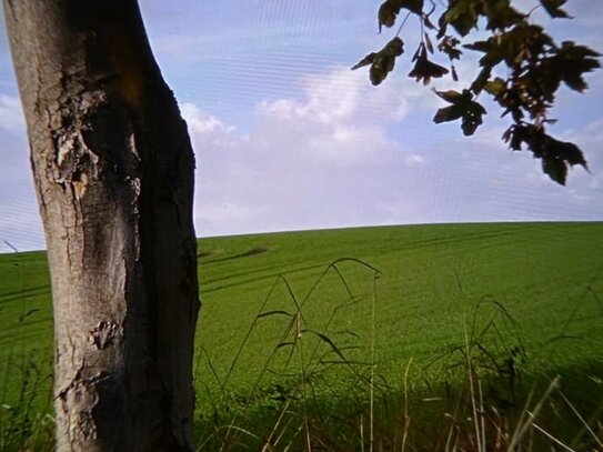 *THÜRINGEN*PILLINGSDORF/NEUSTADT/O.*VOLL ERSCHLOSSENES BAUGRUNDSTÜCK FÜR IHR TRAUMHAUS AN FELD UND WALD IN FREIER NATUR…