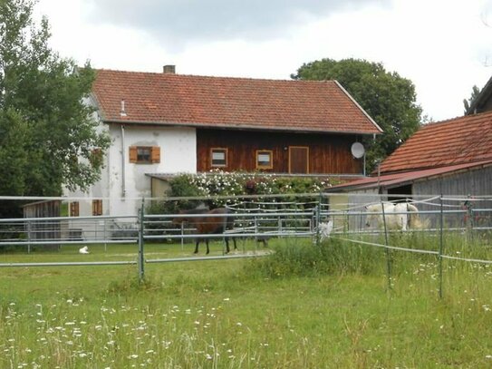 Idyllisches Bauernhaus mit Nebengebäude und angrenzendem Weideland - für Tierhaltung geeignet