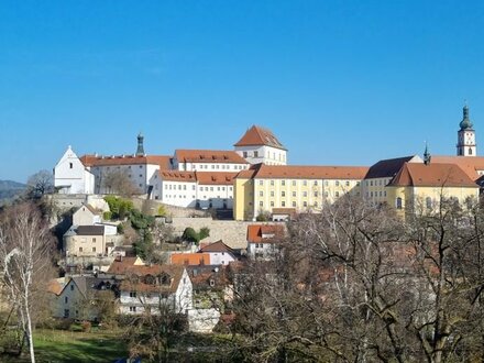 Neubau mit Schlossblick zu vermieten ( KFW 40 NH Haus )