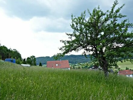 **In Waldrandlage!** Baugrundstück mit herrlicher Aussicht