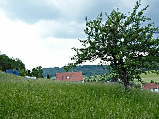 **Mit einzigartiger Aussicht** Baugrundstück in ruhiger Randlage